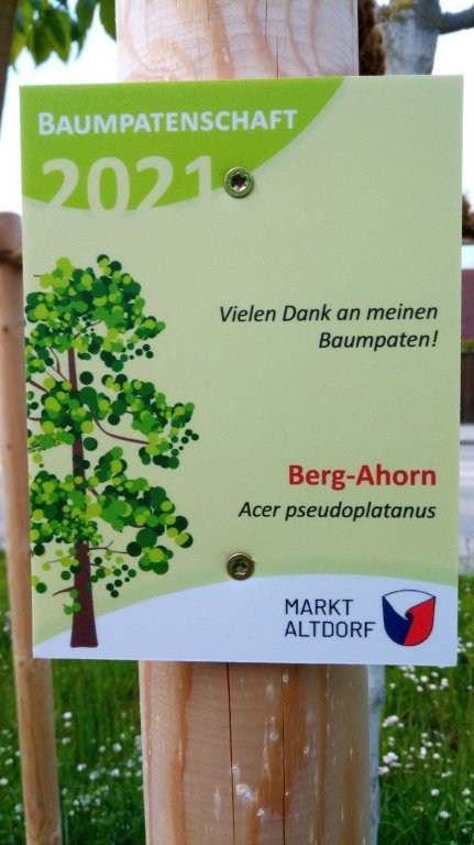 Baumpatenschaft