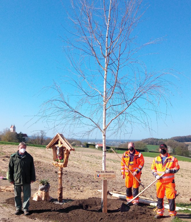 Tag des Baumes 2021